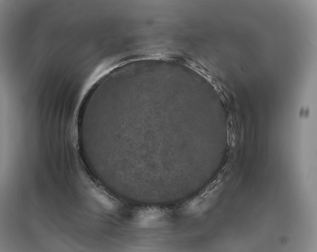 X0000094430198200711151349