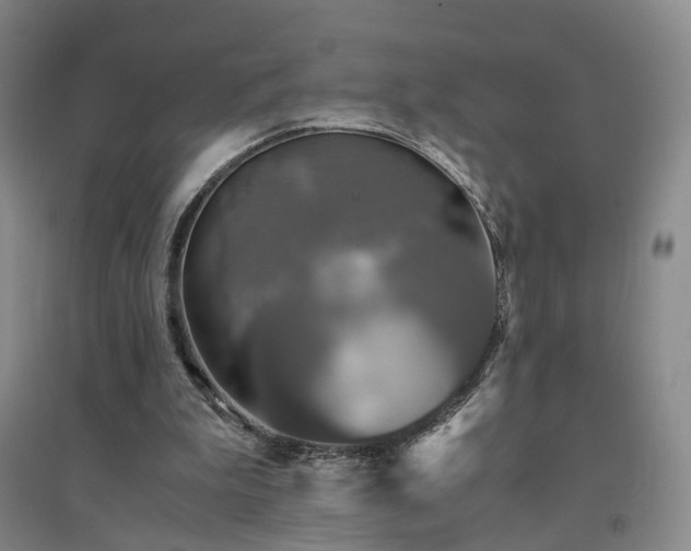 X0000094430199200711151349