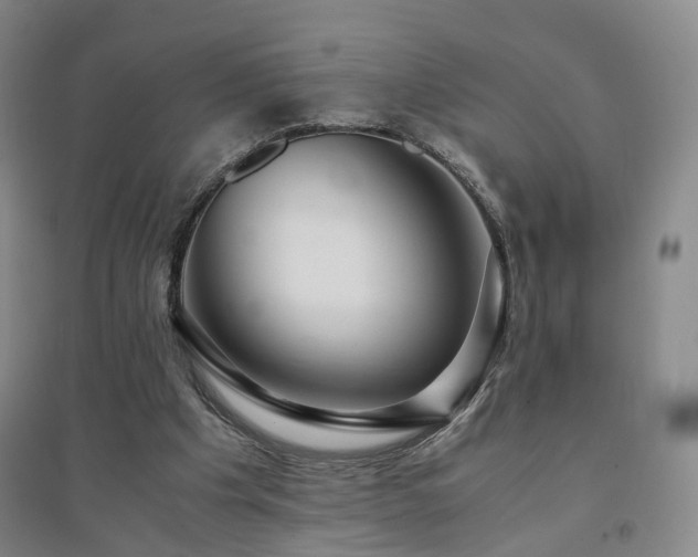 X0000094430201200711151349