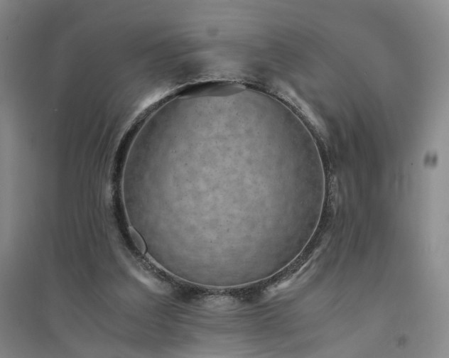 X0000094430203200711151349