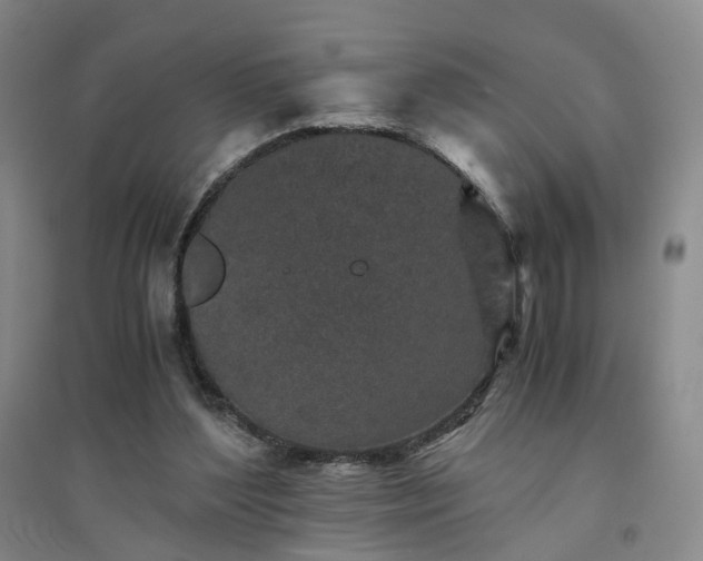 X0000094430204200711151349