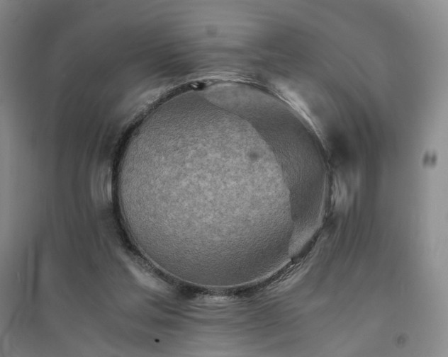 X0000094430205200711151349