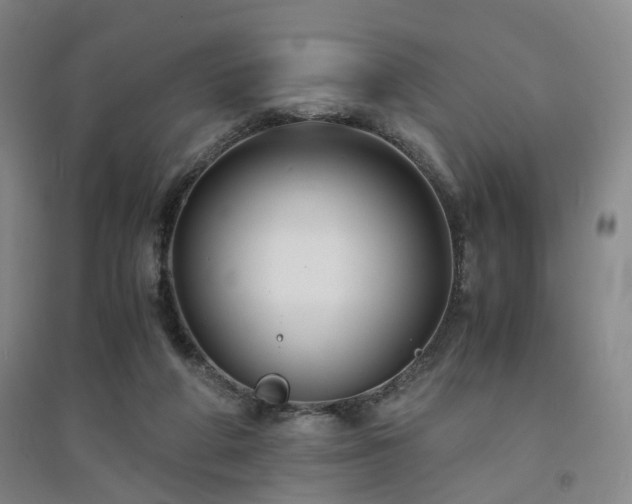 X0000094430210200711151349