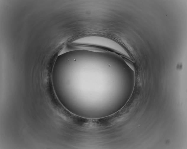 X0000094430211200711151349