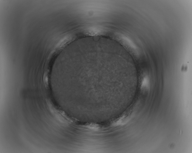 X0000094430214200711151349