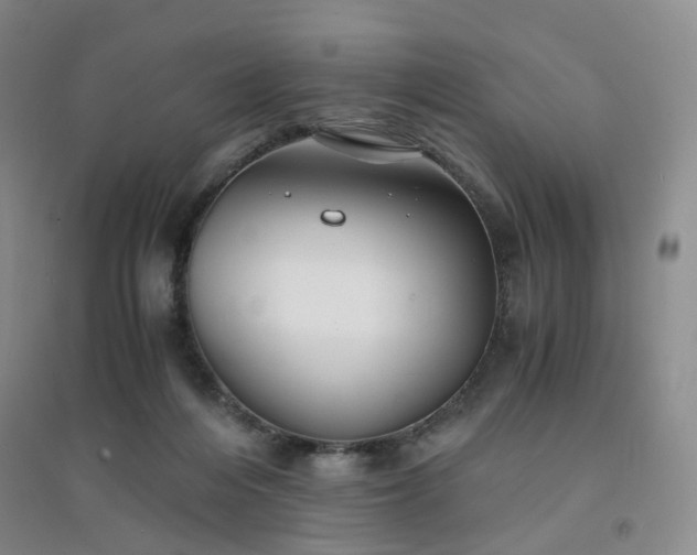 X0000094430216200711151349