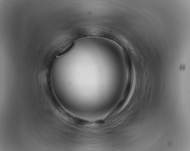 X0000094430217200711151349