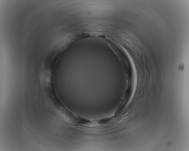 X0000094430219200711151349
