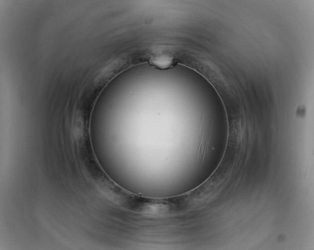 X0000094430220200711151349