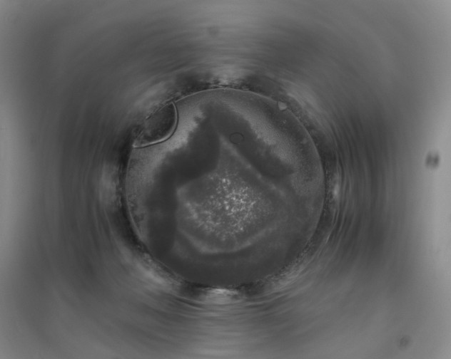 X0000094430222200711151349