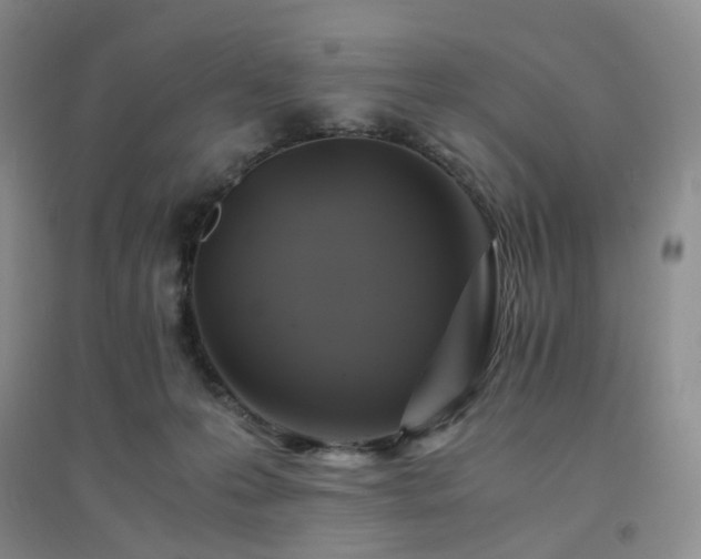 X0000094430223200711151349