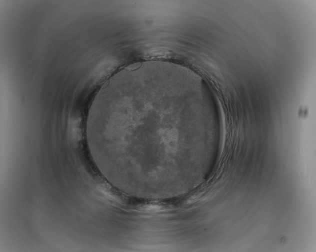 X0000094430224200711151349
