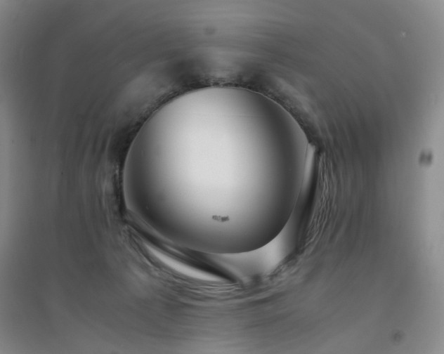 X0000094430225200711151349