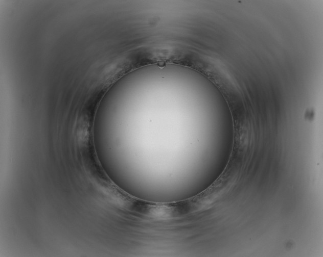 X0000094430226200711151349