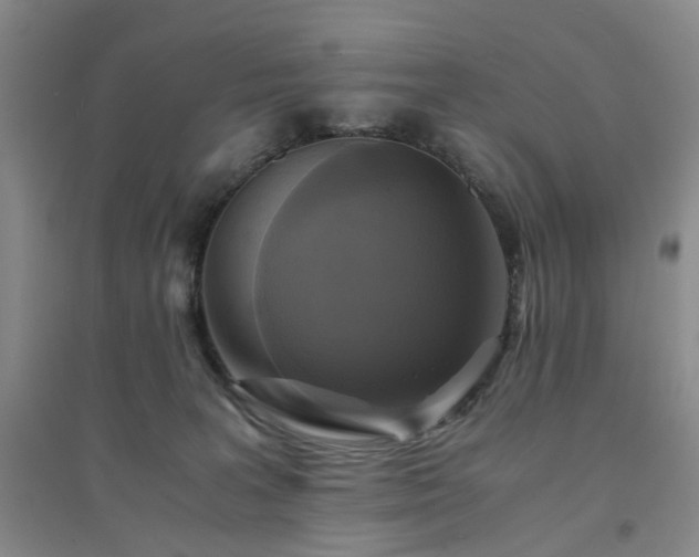 X0000094430227200711151349
