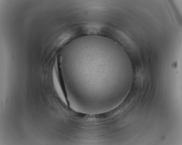 X0000094430228200711151349