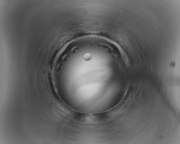 X0000094430229200711151349