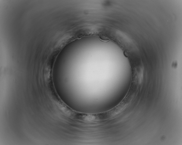 X0000094430230200711151349