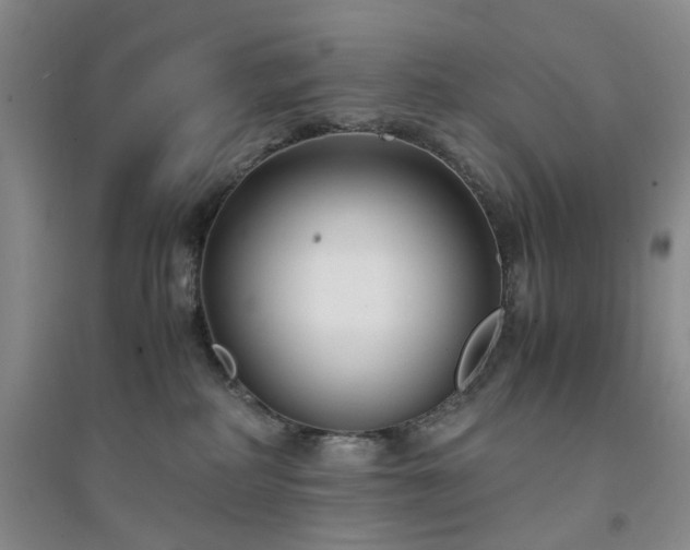 X0000094430234200711151349