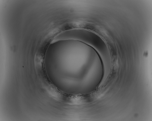 X0000094430235200711151349