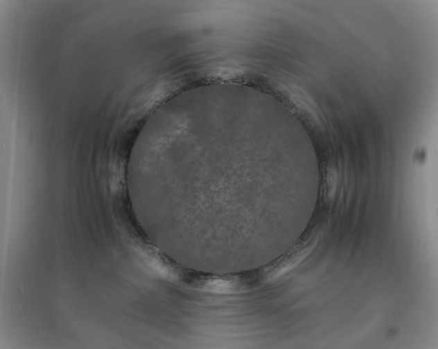 X0000094430236200711151349