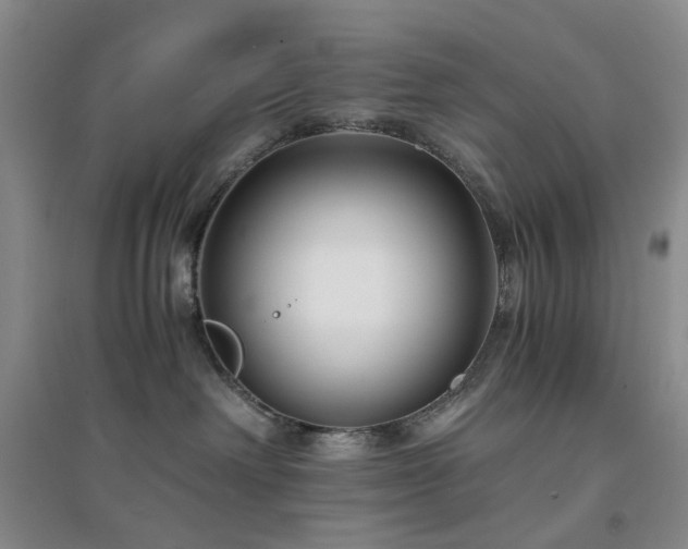 X0000094430238200711151349