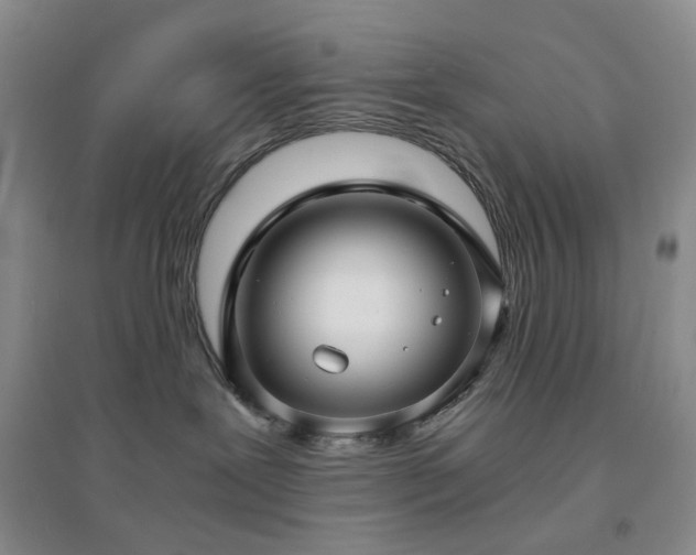 X0000094430239200711151349