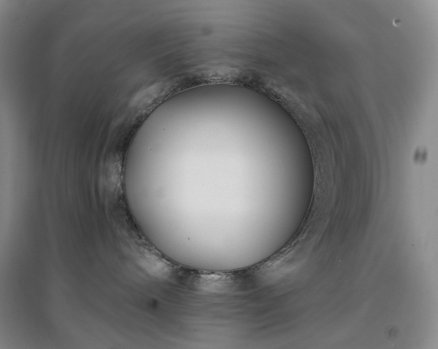 X0000094430240200711151349