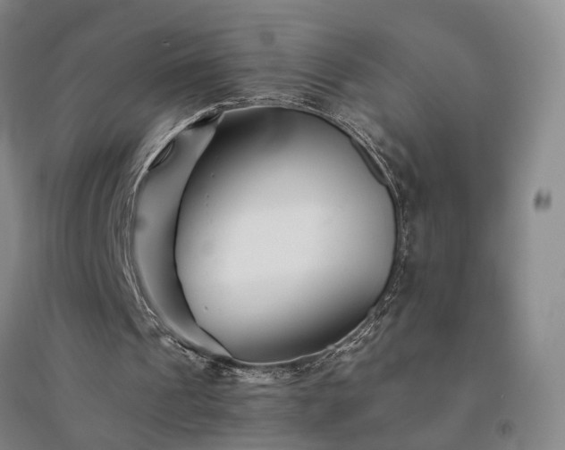X0000094430241200711151348