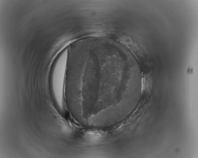 X0000094430243200711151348