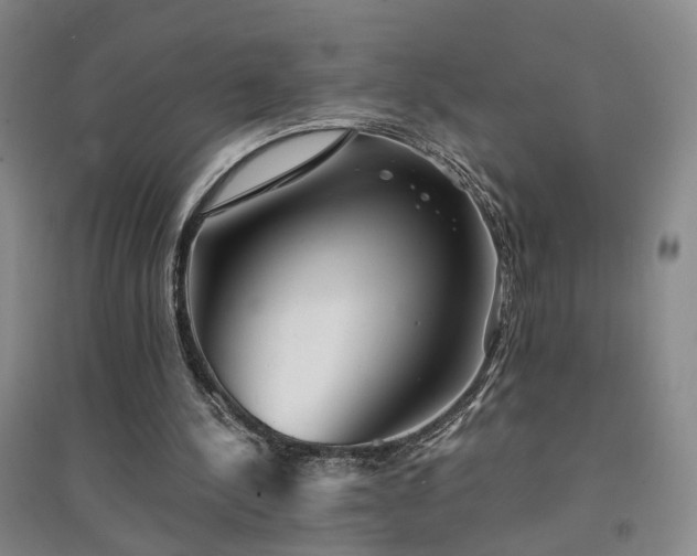 X0000094430244200711151348