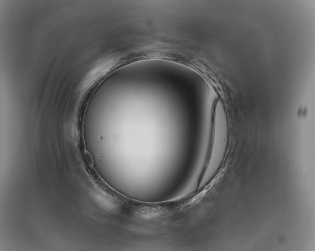 X0000094430245200711151348