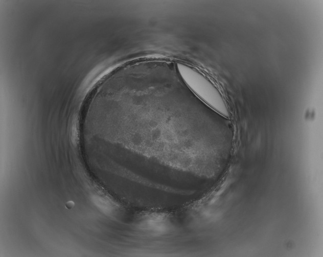 X0000094430247200711151348