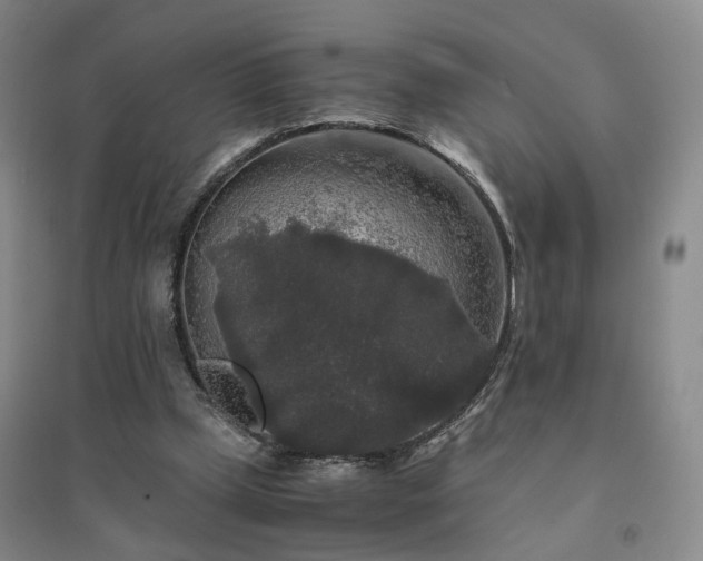 X0000094430249200711151348