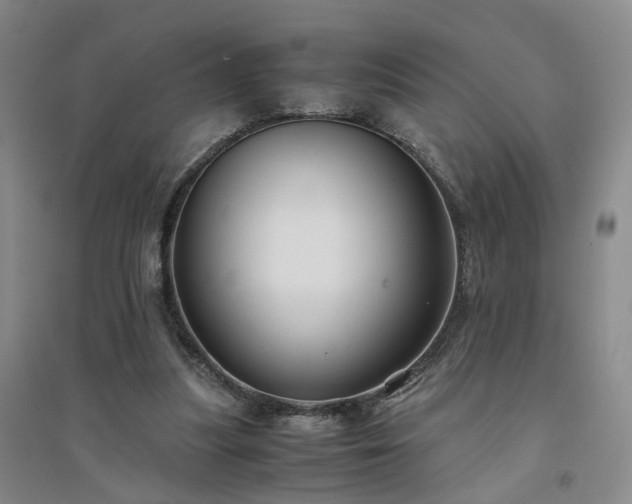 X0000094430251200711151348