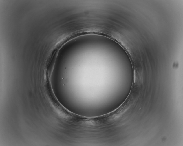 X0000094430253200711151348