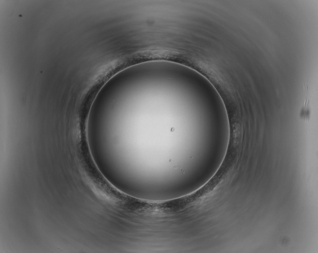 X0000094430254200711151348