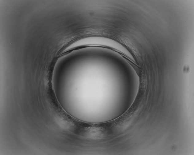 X0000094430255200711151348