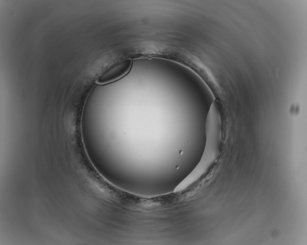 X0000094430257200711151348