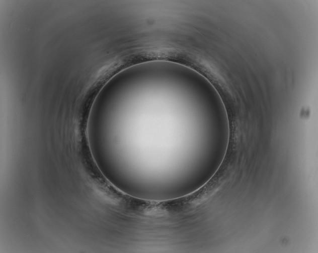 X0000094430258200711151348