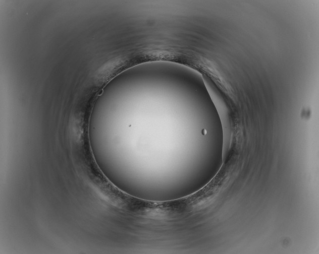 X0000094430259200711151348