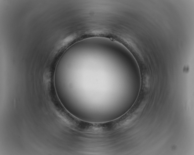 X0000094430260200711151348
