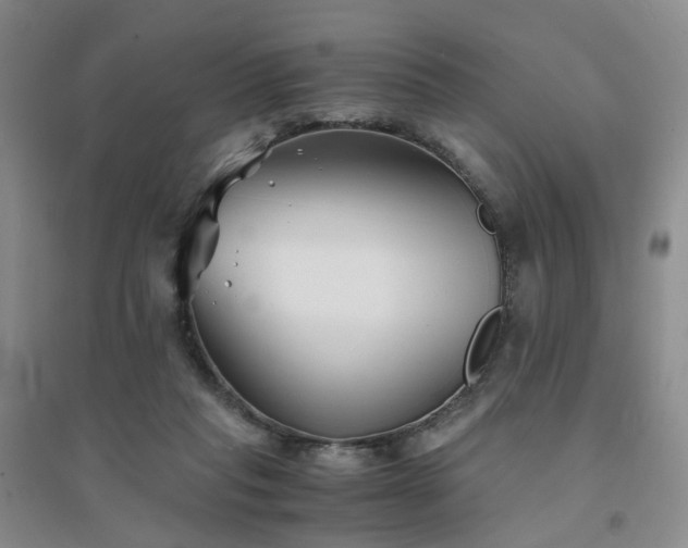 X0000094430261200711151348