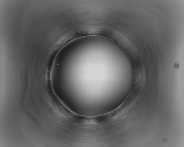 X0000094430262200711151348