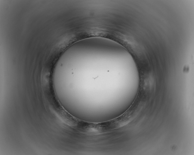 X0000094430263200711151348