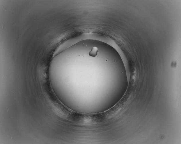 X0000094430264200711151348