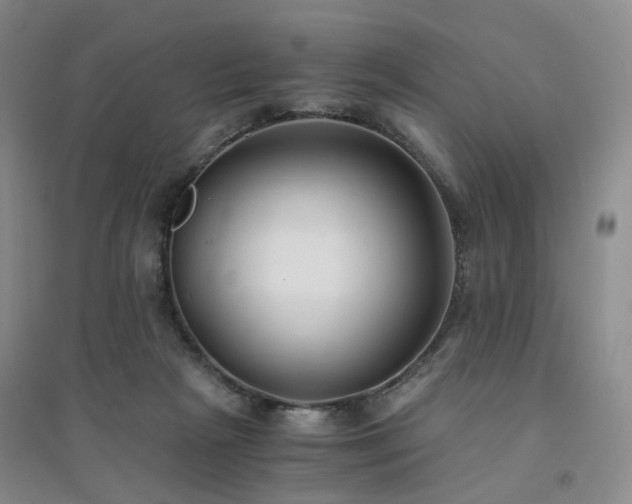 X0000094430265200711151348