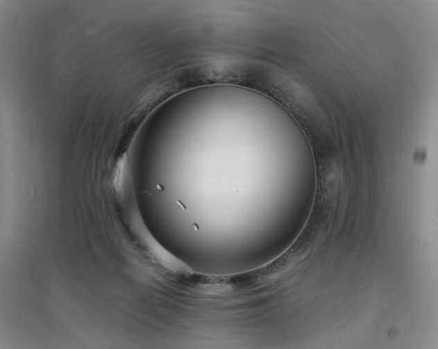 X0000094430266200711151348