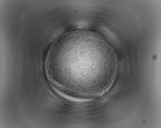 X0000094430269200711151348