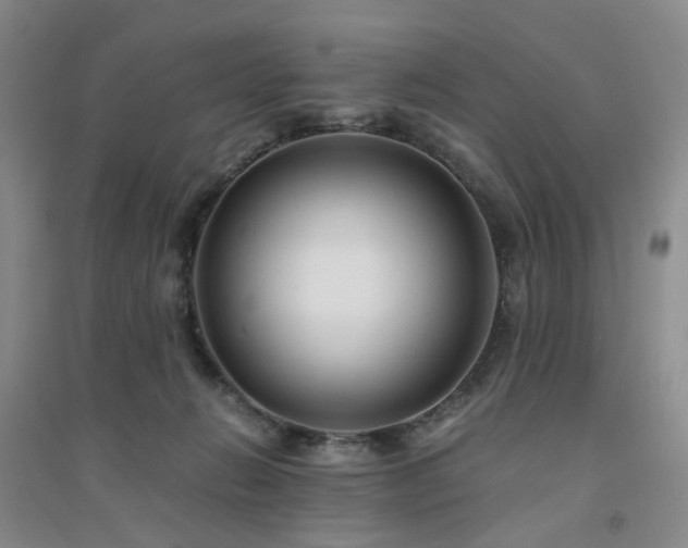X0000094430270200711151348
